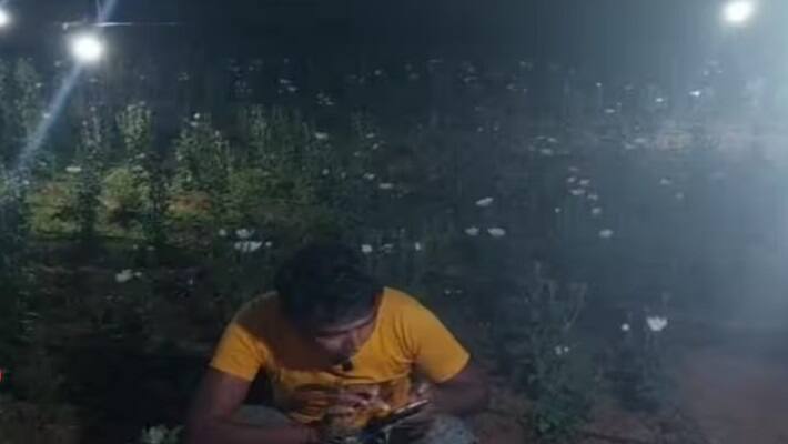 hazaribagh news farmer cultivates flowers under light of led bulb in dark 