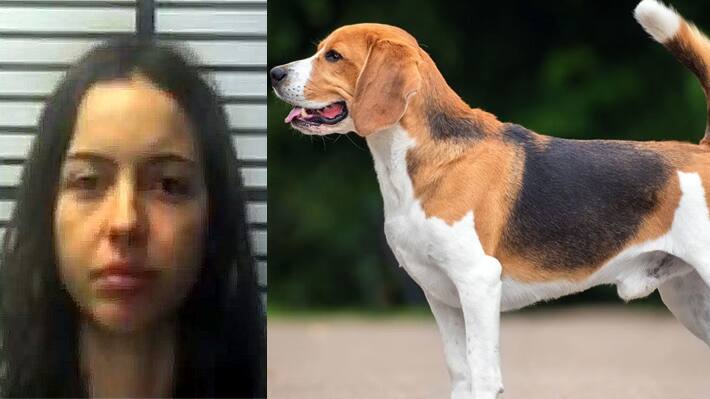 sex with a dog woman jailed missisipi