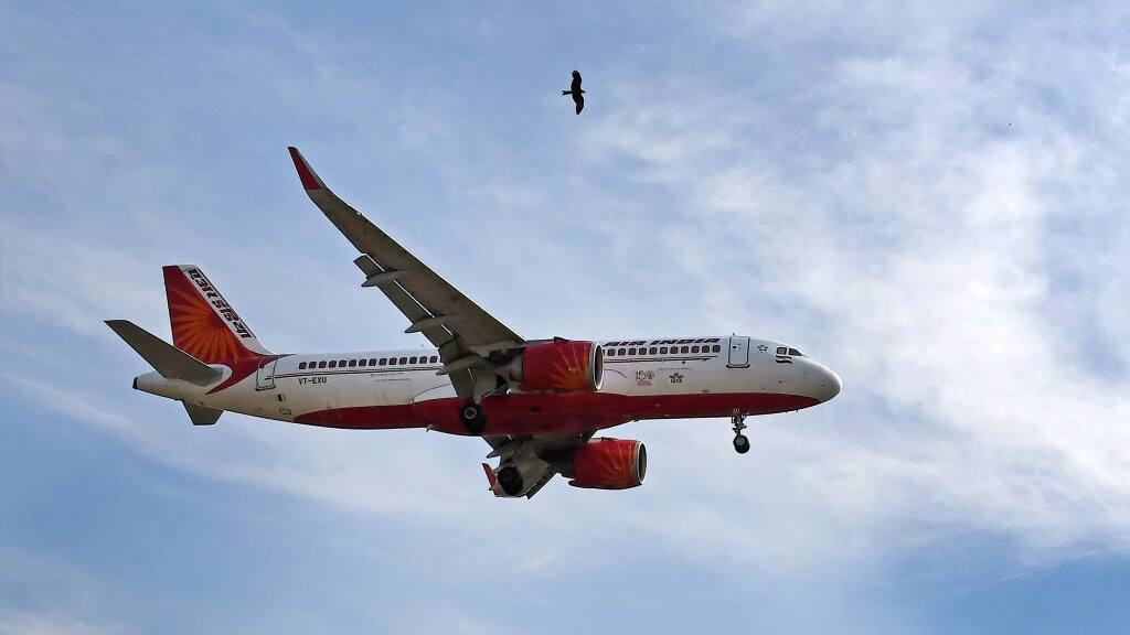 Air india passenger beats cabin crew woman
