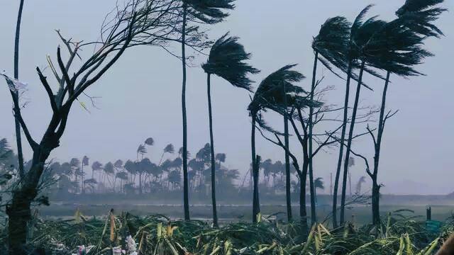  Odisha Alert and preparedness for summer cyclone 