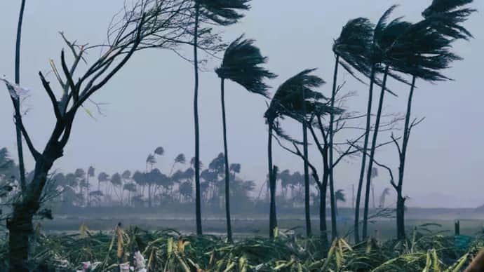  Odisha Alert and preparedness for summer cyclone 