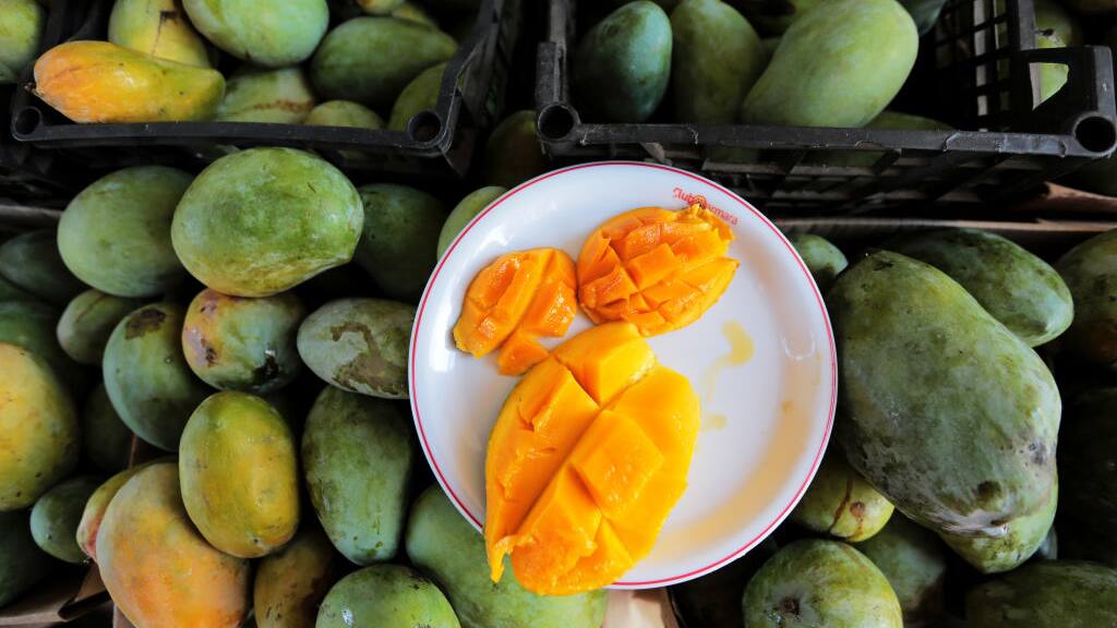 how to identify pure and artificial mango