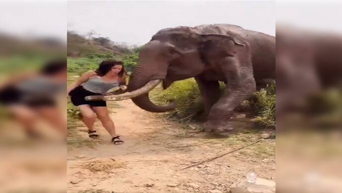 elephant attacks woman