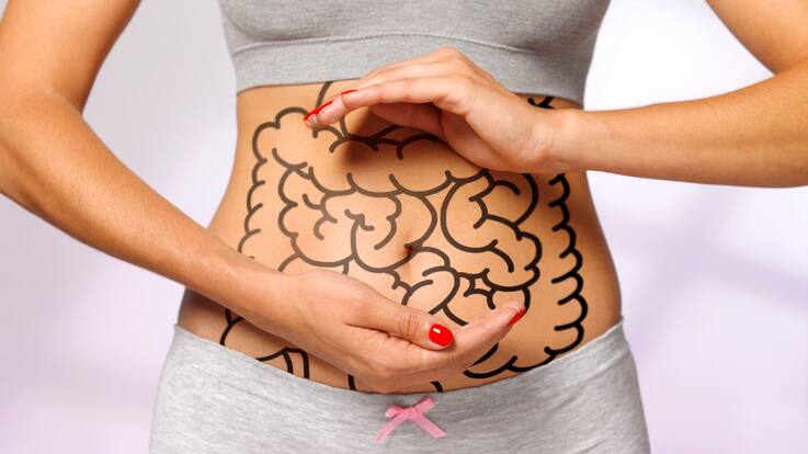 Digestive system