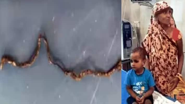Farrukhabad news Three year old child chewed snake and killed it 