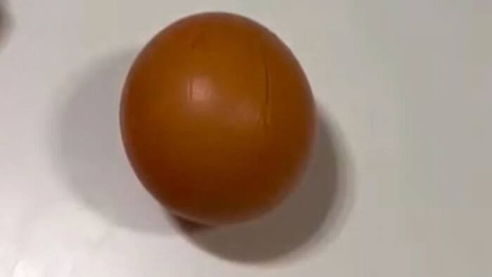 Round Egg