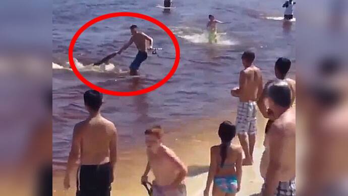 MAN DRAGS OUT HAMMER HEAD SHARK OUT OF WATER