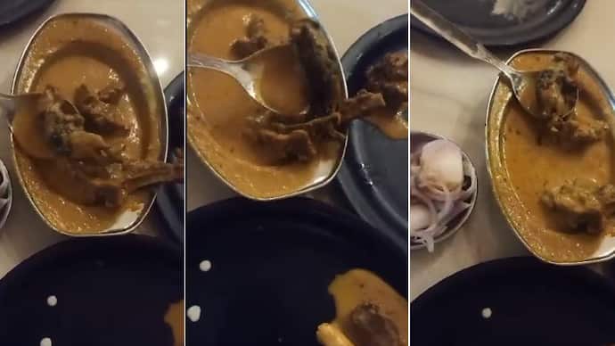 dead rat found in chicken curry in ludhiana 