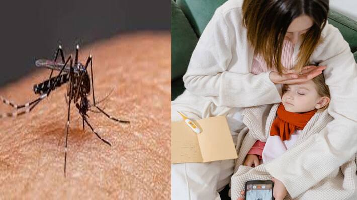 difference-between-dengue-and-malaria