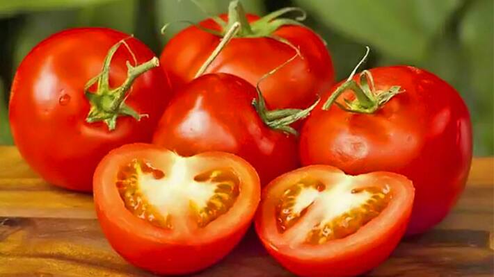 Tomato price in different cities