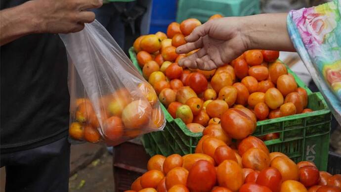 Tomato Price in India