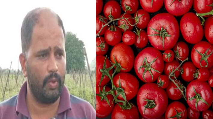 farmer-Ishwar-Gayakar-earned-more-than-2-CR-by-selling-tomato