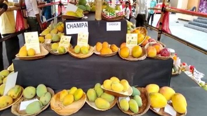  mangoes  news