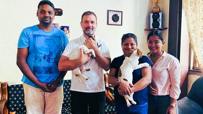  Rahul Gandhi brings home a puppy after Goa visit