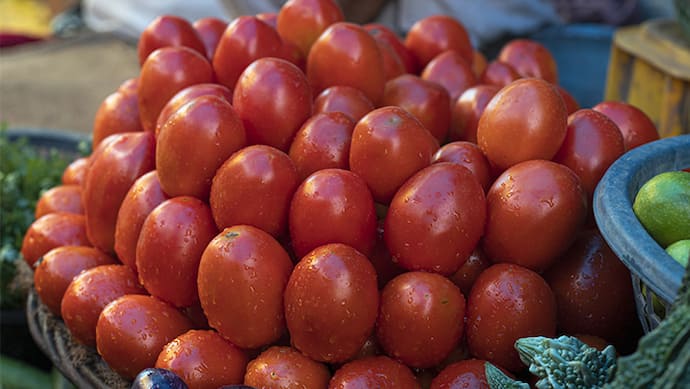 nccf-and-nafed-sale-tomato-at-40-rupees-per-kg-from-20-August