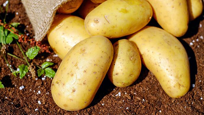 National Potato Day 2023 history