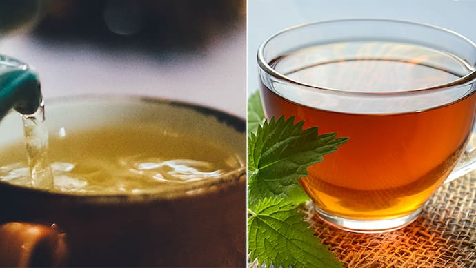 Green Tea Vs Herbal Tea