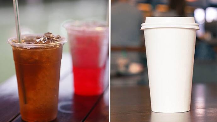 Paper Cups Are Just as Toxic as Plastic Cups  Here is Why bsm