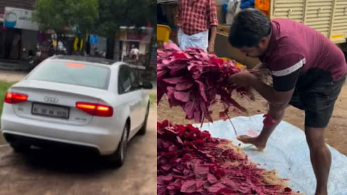  farmer with audi