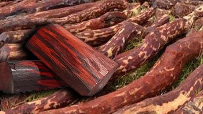 red sandalwood smuggling