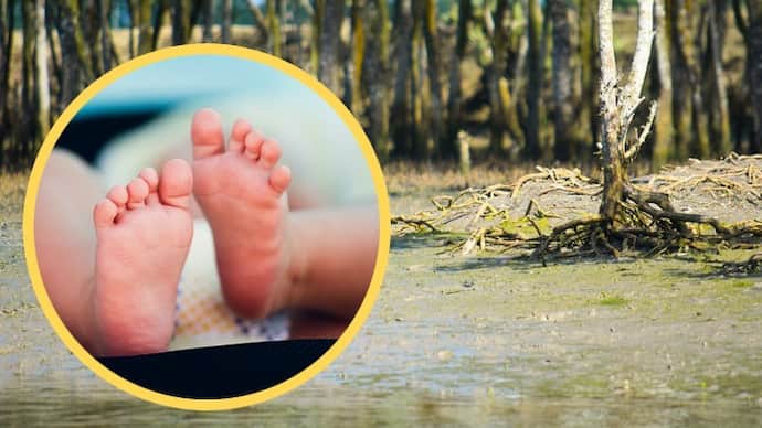 Sundarbans has the highest rate of child drowning