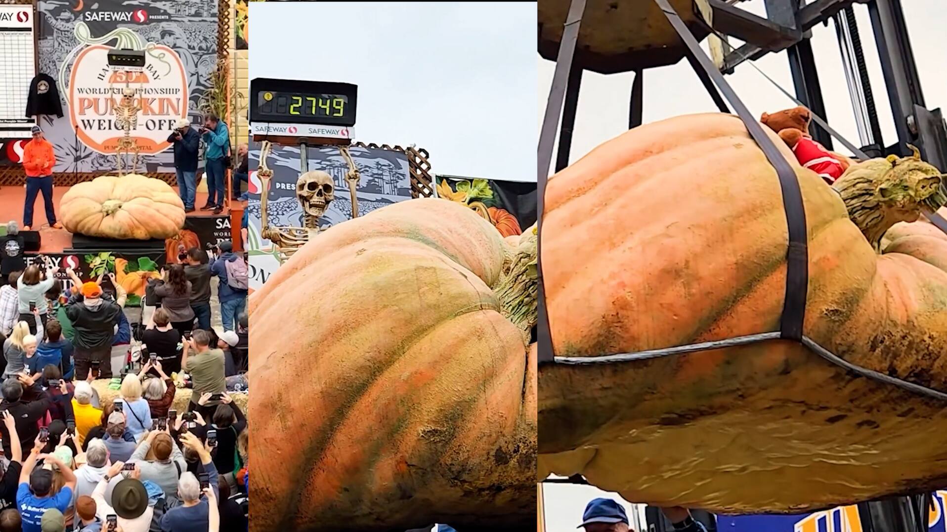 See the world s heaviest pumpkin named Michael Jordan in the viral video bsm