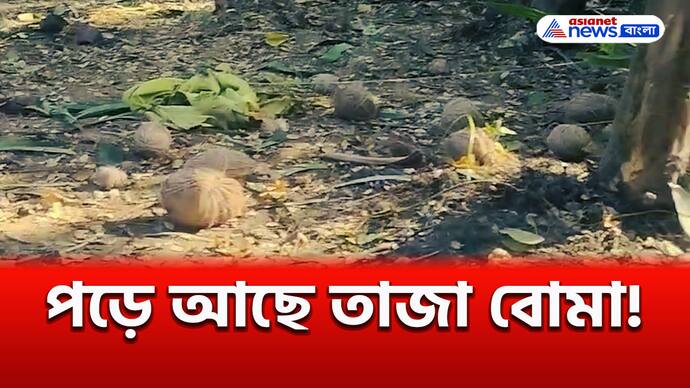 Murshidabad Bomb Blast : ভরদুপুরে কেঁপে উঠল গোটা কলাবাগান! দেখুন পুরো ঘটনা