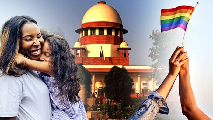 Can Same Sex Couples Adopt Know Supreme Court Observations bsm