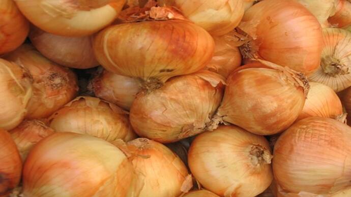 Onions Price Today