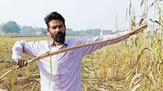  Aligarh farmer success story 