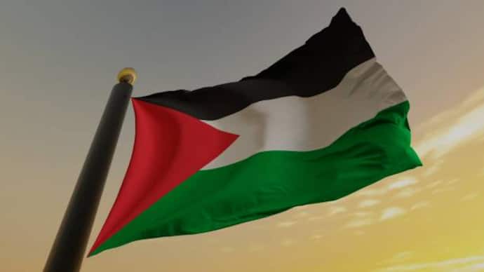 Palestinian flag 