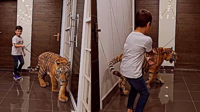 Pakistani YouTuber gave a tiger bucklese to a small boy watch the viral video bsm