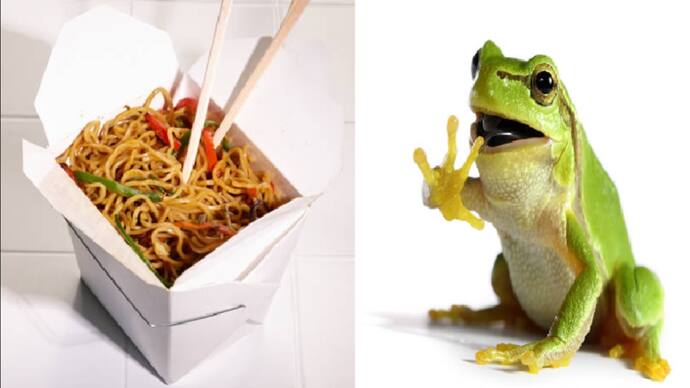 frog noodles