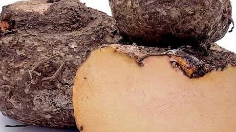 Seven benefits of eating Yam  weight loss cures blood deficiency bsm