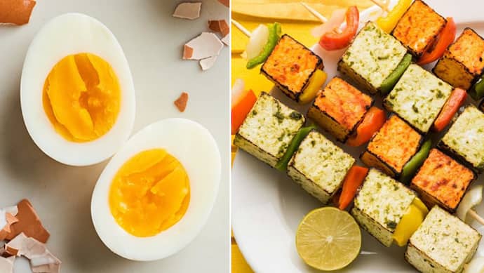 Egg or Paneer Better Source Of Protein