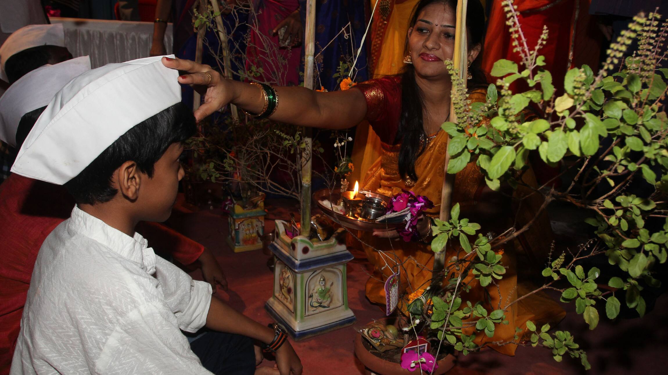 Tulsi Vivah Celebration