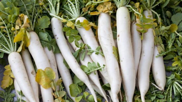 Winter Superfood Radish know about Benefits of This Vegetable bsm