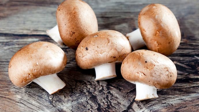 7 types of Mushrooms