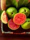 Guava: ডায়াবিটিসে আদৌ ভাল পেয়ারা? মধুমেহর শত্রু না বন্ধু এই ফল, জেনে নিন