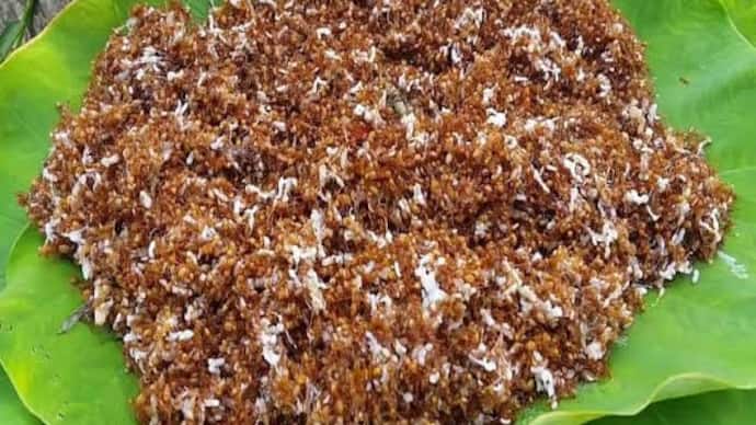 Odisha Red Ant Chutney Gets GI Tag Know About This Food bsm