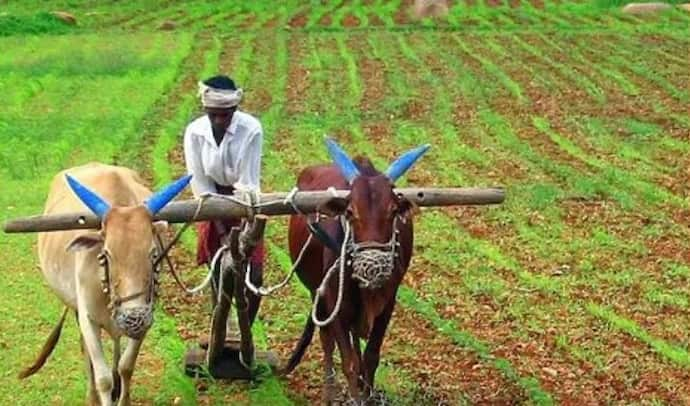 farmer