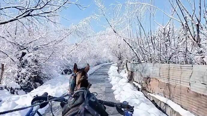 Video of Tonga ride in snow covered Kashmir village goes viral on social media bsm
