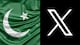 Pakistan News: জাতীয় নিরাপত্তা নিয়ে আশঙ্কা! পাকিস্তানে নিষিদ্ধ 'এক্স'
