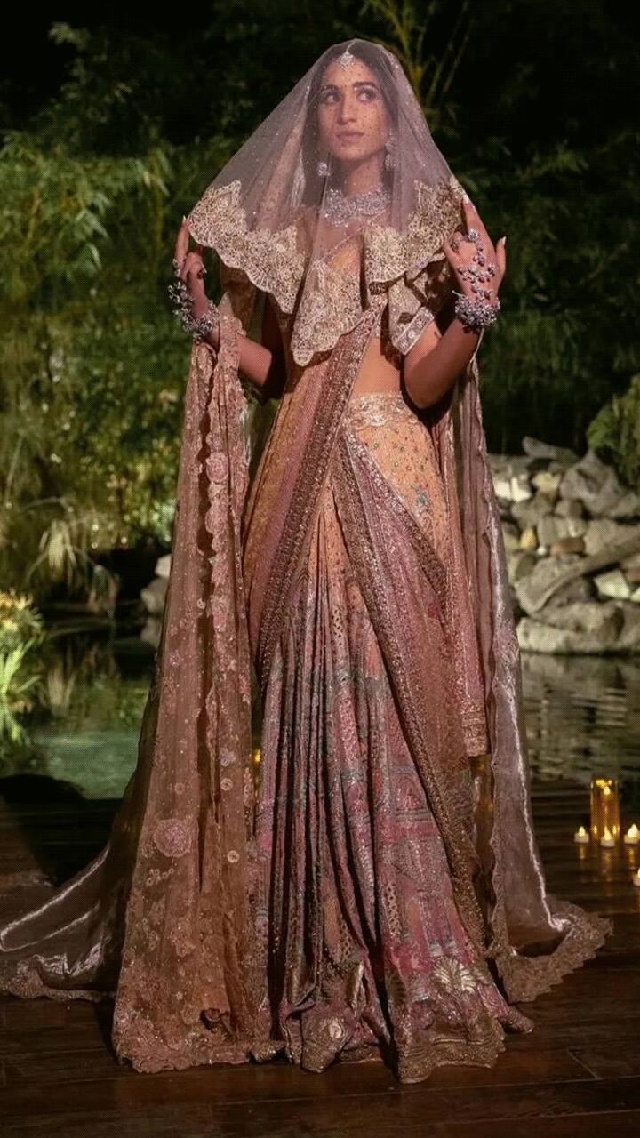 किस बॉलीवुड एक्ट्रेस ने अपनी शादी पर पहना सबसे कीमती लहंगा, जानिए - most  expensive bollywood actresses wedding lehnga know the cost tmov - AajTak