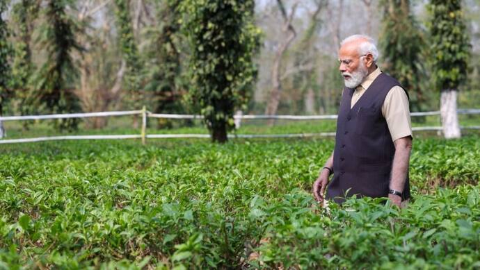 Narendra Modi in tea garden