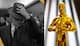 Oscars 2024: 'ওপেনহাইমার'-এর জয়জয়কার! ২০২৪-এ অস্কারের শিরোপা উঠল কাদের মাথায়?