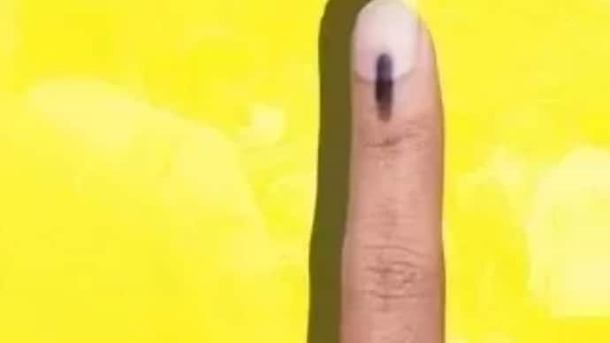 lok sabha chunav 2024 women voters