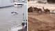 दुबई में बाढ़...पाकिस्तानी ने बताया अबू धाबी में हिंदू मंदिर बनाए जाने से अल्लाह हुए नाराज, देखें Video