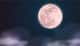 Pink Moon: এক বিরল মহাজাগতিক দৃশ্যের সাক্ষী থাকবে পৃথিবী, রাতের আকাশে দেখা মিলবে গোলাপি চাঁদ