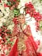 लाल जोड़ा- हैवी ज्वैलरी में दुल्हन बनी Aarti Singh की 8 खूबसूरत PHOTOS
